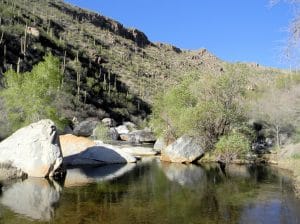 Sabino Canyon landscape